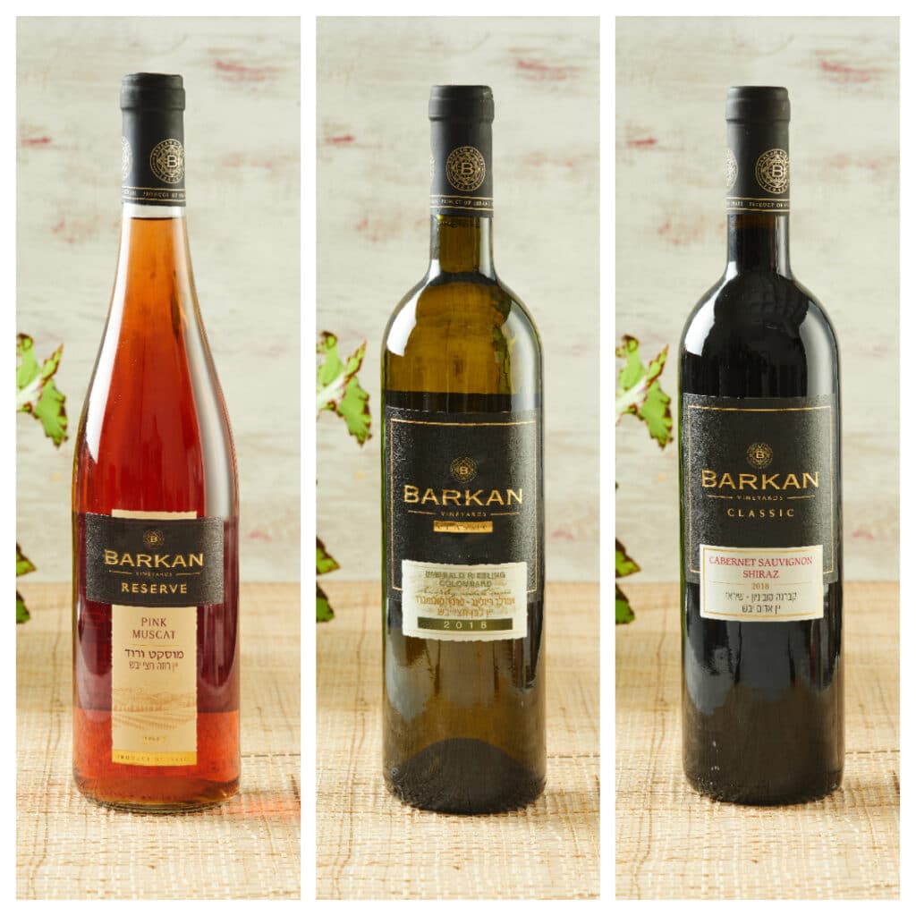 מבחר יינות - יקב ברקן - ארטייסט
