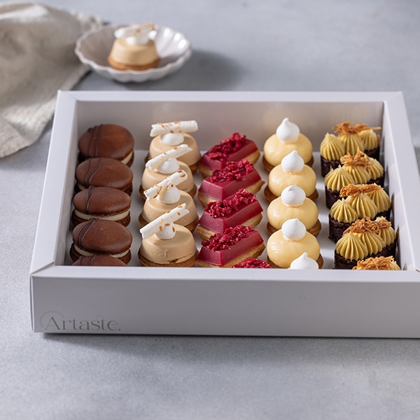 פטיפורים סופר סטייל 2026